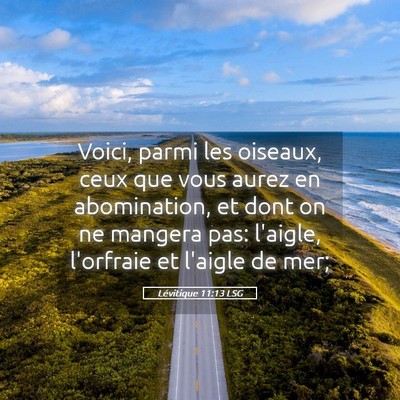 Picture 05 - Lévitique 11:13 LSG - Voici, parmi les oiseaux, ceux que vous aurez en - Bible Verse Picture