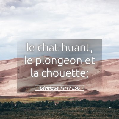 Picture 05 - Lévitique 11:17 LSG - le chat-huant, le plongeon et la - Bible Verse Picture