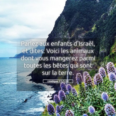 Picture 05 - Lévitique 11:2 LSG - Parlez aux enfants d'Israël, et dites: Voici les - Bible Verse Picture