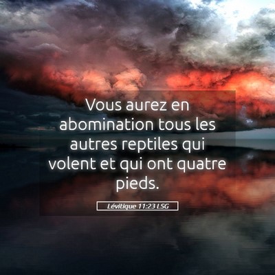 Picture 05 - Lévitique 11:23 LSG - Vous aurez en abomination tous les autres - Bible Verse Picture