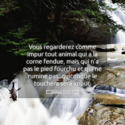 Picture 05 - Lévitique 11:26 LSG - Vous regarderez comme impur tout animal qui a la - Bible Verse Picture