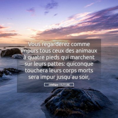 Picture 05 - Lévitique 11:27 LSG - Vous regarderez comme impurs tous ceux des - Bible Verse Picture