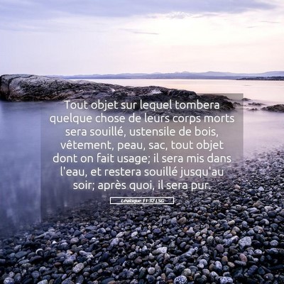 Picture 05 - Lévitique 11:32 LSG - Tout objet sur lequel tombera quelque chose de - Bible Verse Picture