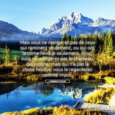 Picture 05 - Lévitique 11:4 LSG - Mais vous ne mangerez pas de ceux qui ruminent - Bible Verse Picture