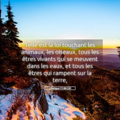 Picture 05 - Lévitique 11:46 LSG - Telle est la loi touchant les animaux, les - Bible Verse Picture