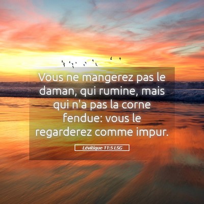 Picture 05 - Lévitique 11:5 LSG - Vous ne mangerez pas le daman, qui rumine, mais - Bible Verse Picture