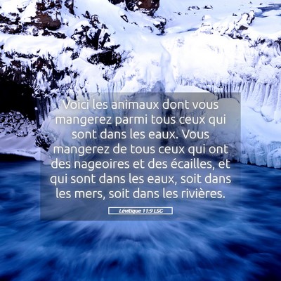 Picture 05 - Lévitique 11:9 LSG - Voici les animaux dont vous mangerez parmi tous - Bible Verse Picture