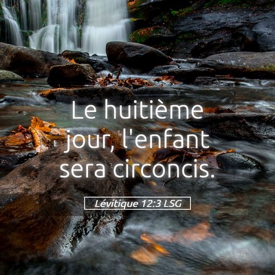 Picture 05 - Lévitique 12:3 LSG - Le huitième jour, l'enfant sera - Bible Verse Picture