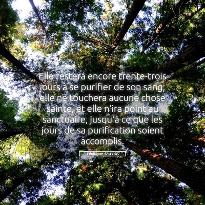 Picture 05 - Lévitique 12:4 LSG - Elle restera encore trente-trois jours à se - Bible Verse Picture