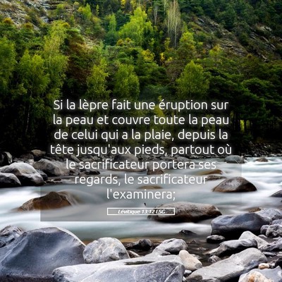 Picture 05 - Lévitique 13:12 LSG - Si la lèpre fait une éruption sur la peau et - Bible Verse Picture