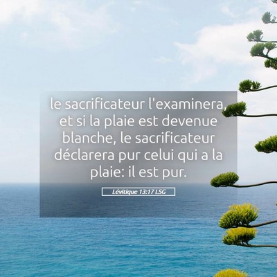 Picture 05 - Lévitique 13:17 LSG - le sacrificateur l'examinera, et si la plaie est - Bible Verse Picture