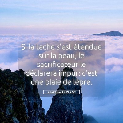 Picture 05 - Lévitique 13:22 LSG - Si la tache s'est étendue sur la peau, le - Bible Verse Picture