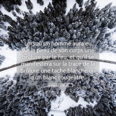 Picture 05 - Lévitique 13:24 LSG - Lorsqu'un homme aura eu sur la peau de son corps - Bible Verse Picture
