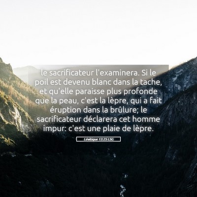 Picture 05 - Lévitique 13:25 LSG - le sacrificateur l'examinera. Si le poil est - Bible Verse Picture