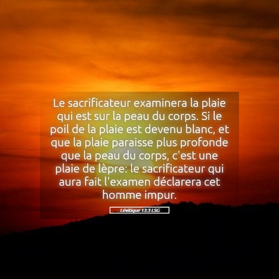 Picture 05 - Lévitique 13:3 LSG - Le sacrificateur examinera la plaie qui est sur - Bible Verse Picture