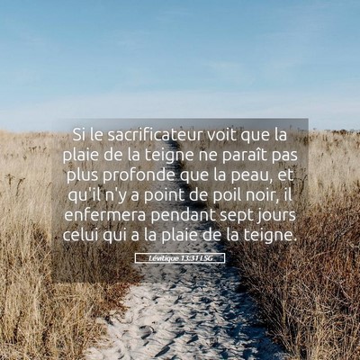 Picture 05 - Lévitique 13:31 LSG - Si le sacrificateur voit que la plaie de la - Bible Verse Picture