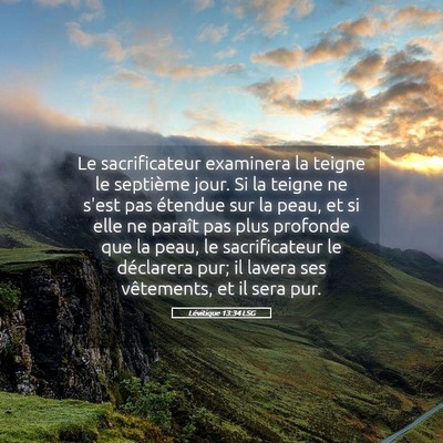 Picture 05 - Lévitique 13:34 LSG - Le sacrificateur examinera la teigne le septième - Bible Verse Picture