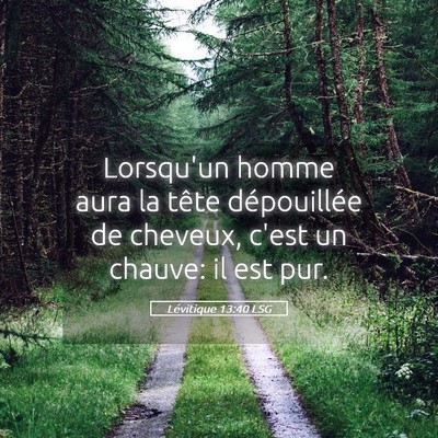 Picture 05 - Lévitique 13:40 LSG - Lorsqu'un homme aura la tête dépouillée de - Bible Verse Picture