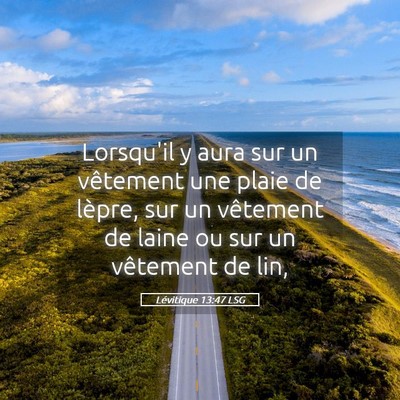 Picture 05 - Lévitique 13:47 LSG - Lorsqu'il y aura sur un vêtement une plaie de - Bible Verse Picture