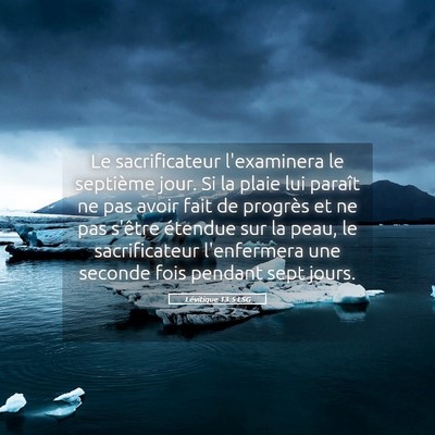 Picture 05 - Lévitique 13:5 LSG - Le sacrificateur l'examinera le septième jour. - Bible Verse Picture