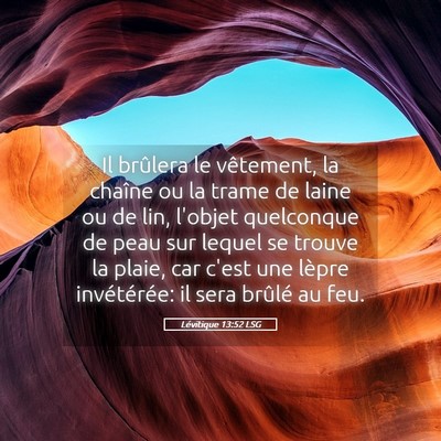 Picture 05 - Lévitique 13:52 LSG - Il brûlera le vêtement, la chaîne ou la trame - Bible Verse Picture