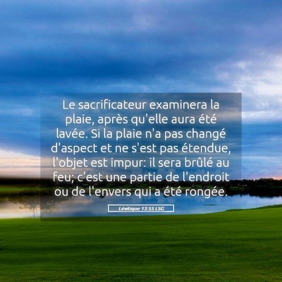 Picture 05 - Lévitique 13:55 LSG - Le sacrificateur examinera la plaie, après - Bible Verse Picture