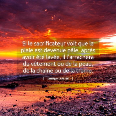 Picture 05 - Lévitique 13:56 LSG - Si le sacrificateur voit que la plaie est devenue - Bible Verse Picture