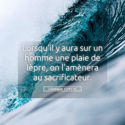 Picture 05 - Lévitique 13:9 LSG - Lorsqu'il y aura sur un homme une plaie de - Bible Verse Picture