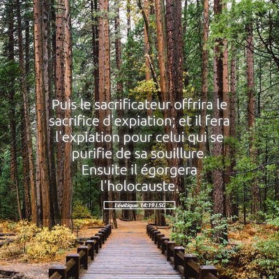 Picture 05 - Lévitique 14:19 LSG - Puis le sacrificateur offrira le sacrifice - Bible Verse Picture