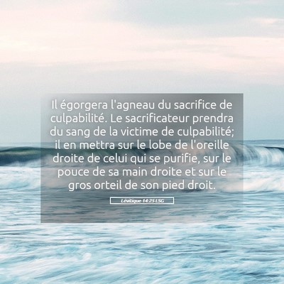 Picture 05 - Lévitique 14:25 LSG - Il égorgera l'agneau du sacrifice de - Bible Verse Picture