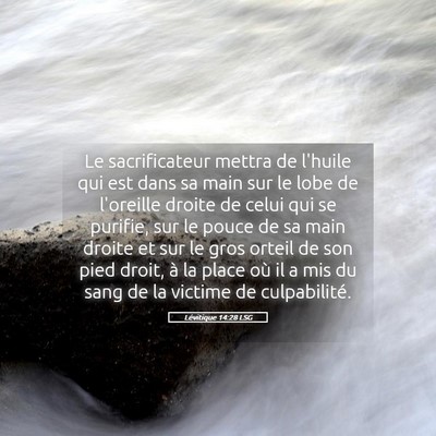 Picture 05 - Lévitique 14:28 LSG - Le sacrificateur mettra de l'huile qui est dans - Bible Verse Picture