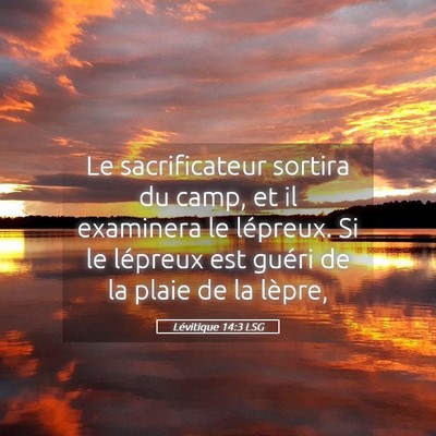 Picture 05 - Lévitique 14:3 LSG - Le sacrificateur sortira du camp, et il examinera - Bible Verse Picture