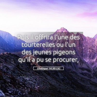 Picture 05 - Lévitique 14:30 LSG - Puis il offrira l'une des tourterelles ou l'un - Bible Verse Picture