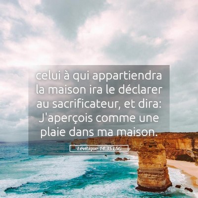 Picture 05 - Lévitique 14:35 LSG - celui à qui appartiendra la maison ira le - Bible Verse Picture