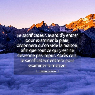Picture 05 - Lévitique 14:36 LSG - Le sacrificateur, avant d'y entrer pour examiner - Bible Verse Picture