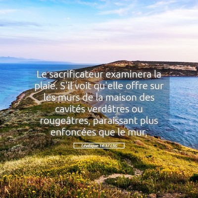 Picture 05 - Lévitique 14:37 LSG - Le sacrificateur examinera la plaie. S'il voit - Bible Verse Picture