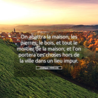 Picture 05 - Lévitique 14:45 LSG - On abattra la maison, les pierres, le bois, et - Bible Verse Picture