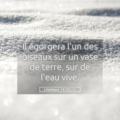 Picture 05 - Lévitique 14:50 LSG - Il égorgera l'un des oiseaux sur un vase de - Bible Verse Picture