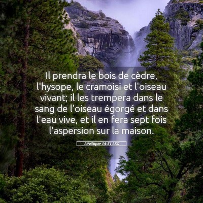 Picture 05 - Lévitique 14:51 LSG - Il prendra le bois de cèdre, l'hysope, le - Bible Verse Picture