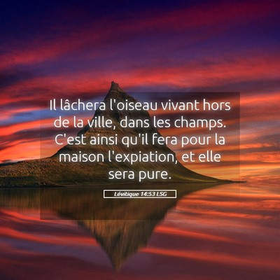 Picture 05 - Lévitique 14:53 LSG - Il lâchera l'oiseau vivant hors de la ville, - Bible Verse Picture
