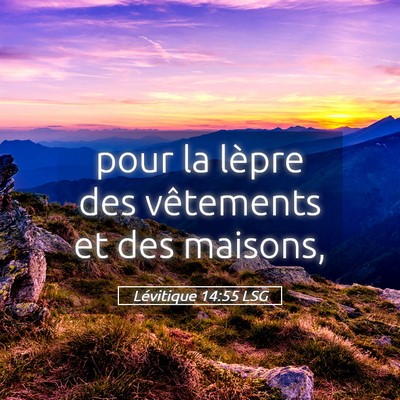 Picture 05 - Lévitique 14:55 LSG - pour la lèpre des vêtements et des - Bible Verse Picture
