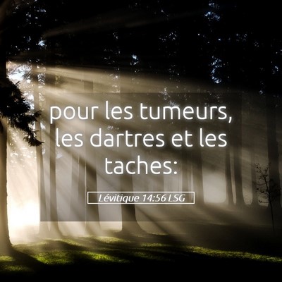 Picture 05 - Lévitique 14:56 LSG - pour les tumeurs, les dartres et les - Bible Verse Picture