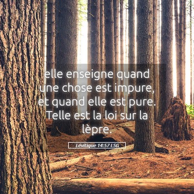 Picture 05 - Lévitique 14:57 LSG - elle enseigne quand une chose est impure, et - Bible Verse Picture