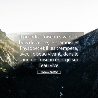 Picture 05 - Lévitique 14:6 LSG - Il prendra l'oiseau vivant, le bois de cèdre, le - Bible Verse Picture