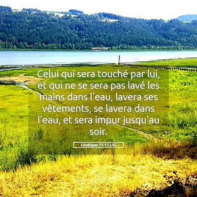 Picture 05 - Lévitique 15:11 LSG - Celui qui sera touché par lui, et qui ne se sera - Bible Verse Picture