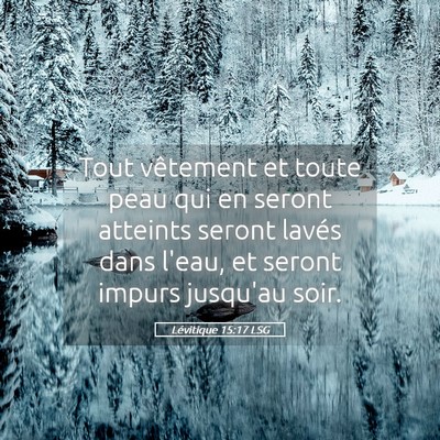 Picture 05 - Lévitique 15:17 LSG - Tout vêtement et toute peau qui en seront - Bible Verse Picture