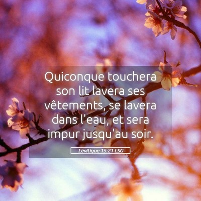 Picture 05 - Lévitique 15:21 LSG - Quiconque touchera son lit lavera ses vêtements, - Bible Verse Picture