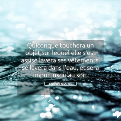 Picture 05 - Lévitique 15:22 LSG - Quiconque touchera un objet sur lequel elle s'est - Bible Verse Picture