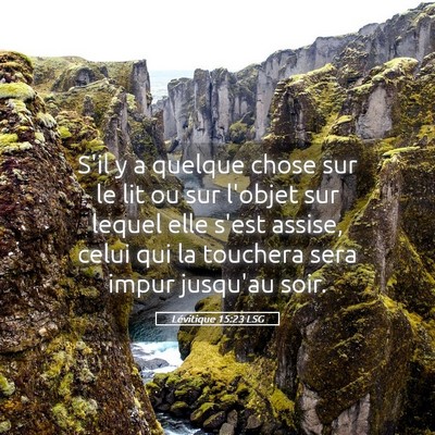 Picture 05 - Lévitique 15:23 LSG - S'il y a quelque chose sur le lit ou sur l'objet - Bible Verse Picture