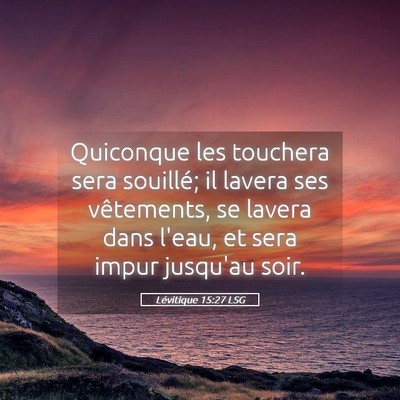 Picture 05 - Lévitique 15:27 LSG - Quiconque les touchera sera souillé; il lavera - Bible Verse Picture